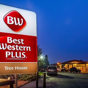 Best Western Plus Tree House